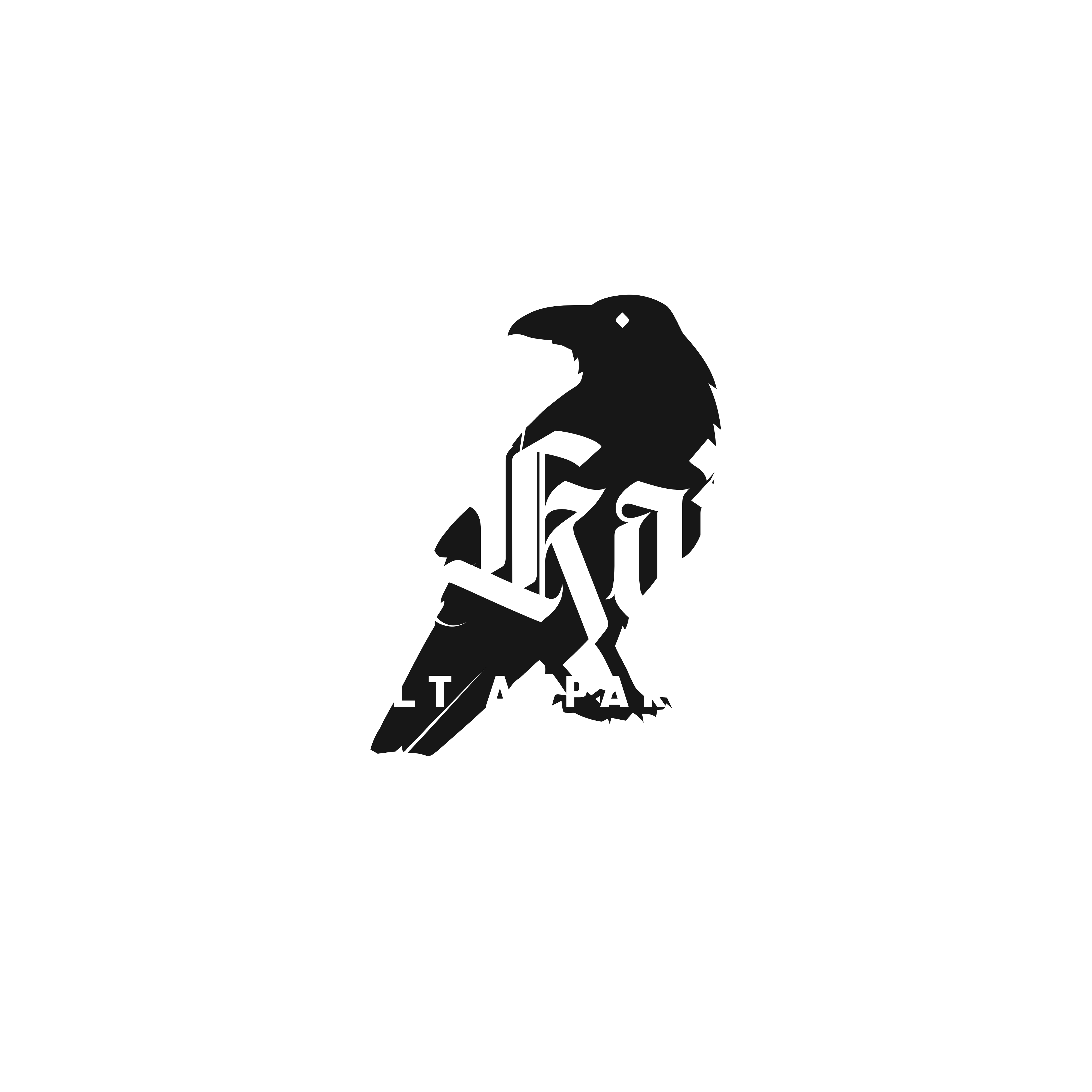 Z. Kaine